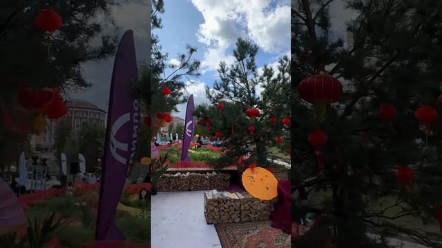 HAVAL смотреть онлайн