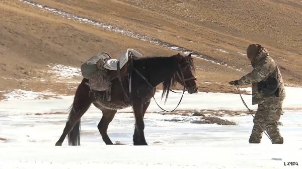 Егерь / Huntsman