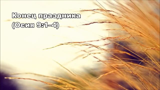 Тихое время с Живой Жизнью: Осия 9:10–17 (251016) смотреть онлайн