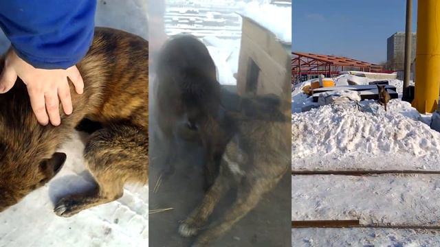 Москва, Рязанский проспект, дом 105 смотреть онлайн