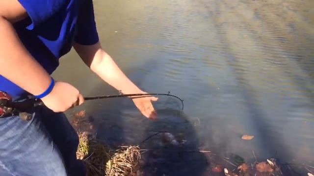 Outdoor adventures with evolution game calls смотреть онлайн