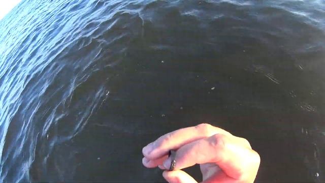 ??Подводный поиск в Юрмале.Золото,Серебро.Minelab excalibur II смотреть онлайн