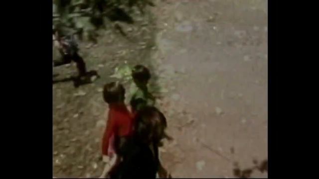The Beach Boys - Friends (DJ L33 Remaster) with video and extended intro смотреть онлайн