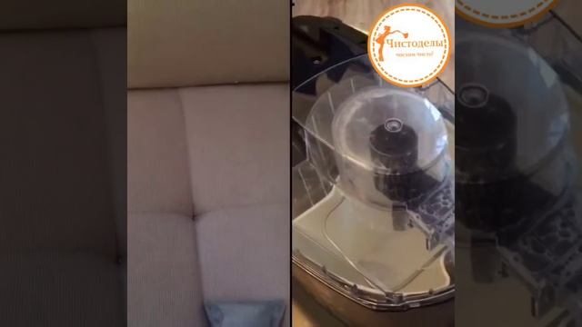 Химчистка дивана «Чистоделы» смотреть онлайн