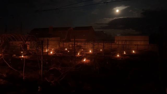 Борьба с заморозком на винограднике 27 апреля 2021 года смотреть онлайн