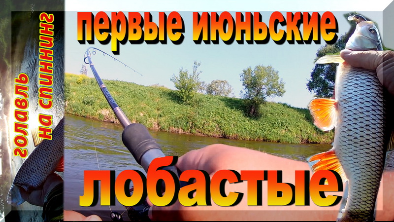 Пришел июнь, на рыбалку плюнь...Не в этот раз. Ловля голавля на спиннинг летом. смотреть онлайн