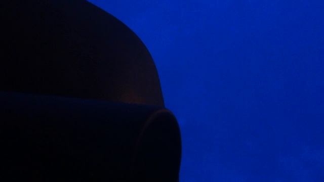 2003 vue cat delete смотреть онлайн