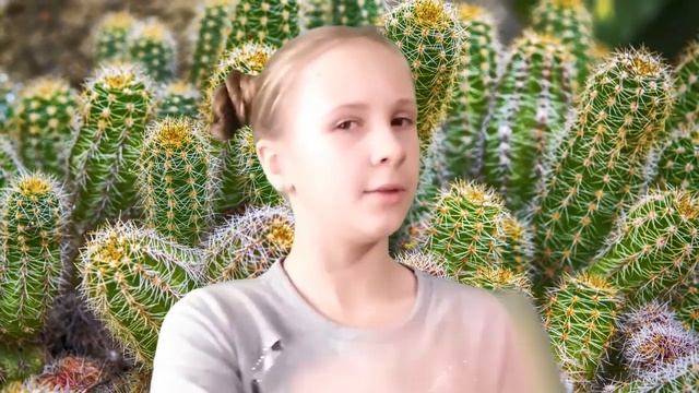 Зачем кактусу колючки?? ВЛОГ НИКА-ВЕРОНИКА. 1000 вопросов и ответов. смотреть онлайн