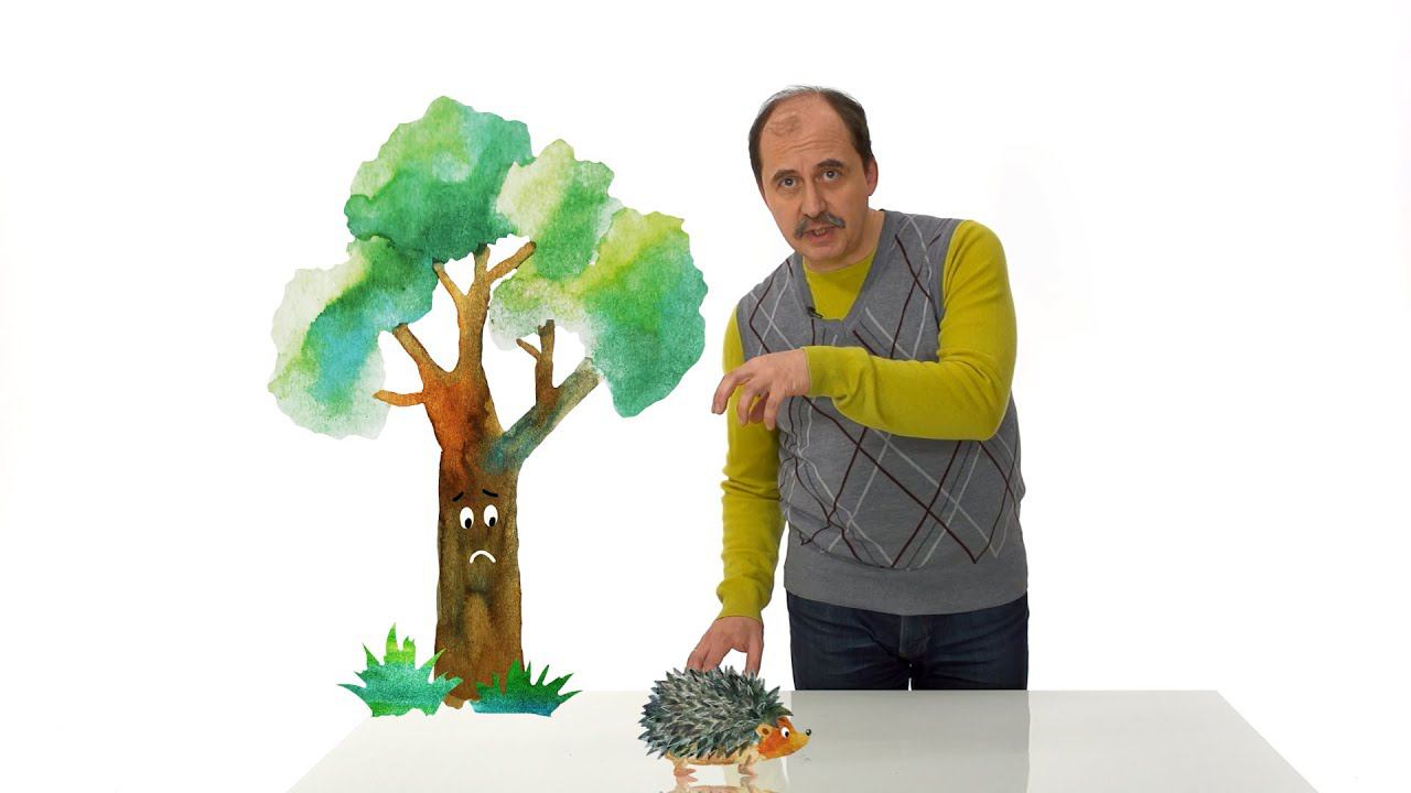 18. Знакомство с растениями смотреть онлайн