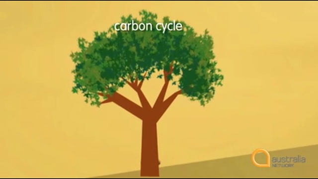 12 - Carbon Cycle смотреть онлайн