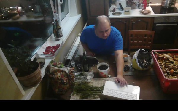 Грибной стрим