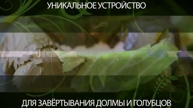 Кулинарная студия с Алиной