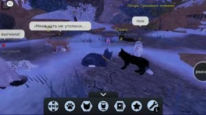 коты воители стань диким! игра в роблокс