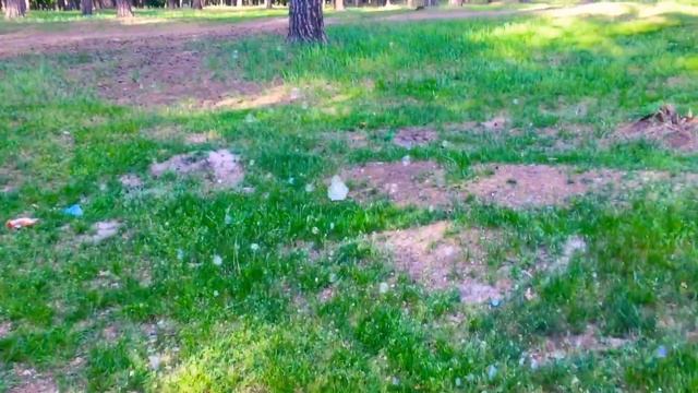 Пускаем мыльные пузыри на улице, играем с детками смотреть онлайн