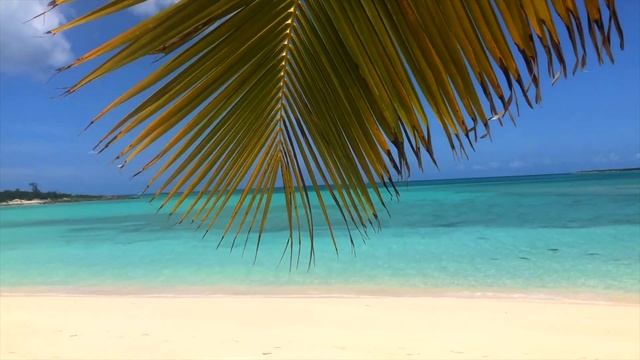 EXUMA BAHAMAS 4K - I'm in Paradise! смотреть онлайн