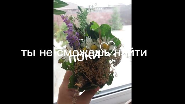Опа, вот как я и говорила . Мой номер телефона ? смотреть онлайн