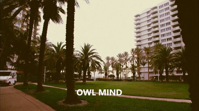 Slip - Elliot Moss ( OWL MIND FAST VERSION ) смотреть онлайн