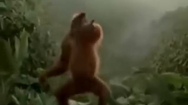 Обезьяна танцует под 