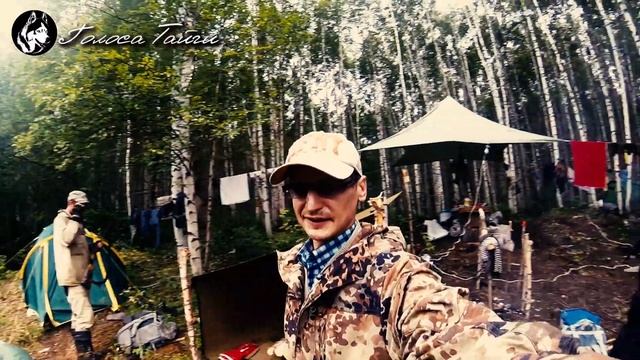 Тайга это жизнь. смотреть онлайн