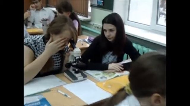 Строение клетки Гофман смотреть онлайн