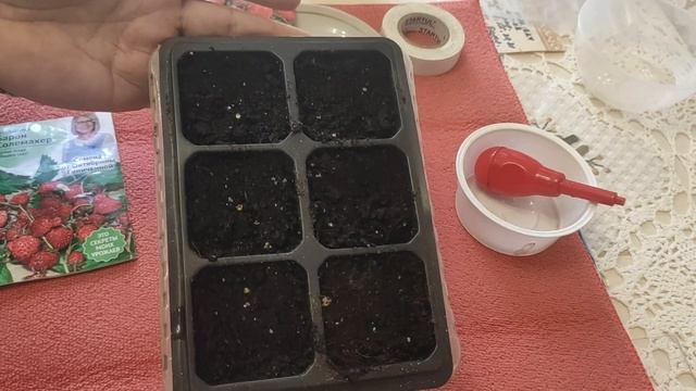 Надежный и успешный способ посева ЗЕМЛЯНИКИ из семян. Урожай будем собирать в этот же год посева. смотреть онлайн