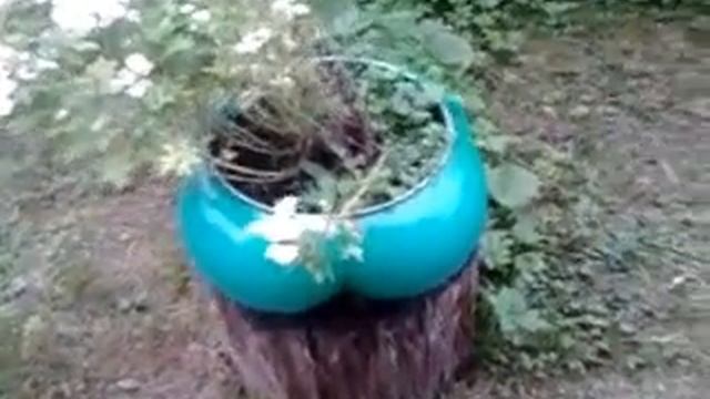 Чем могут пахнуть цветы в такой вазе? смотреть онлайн