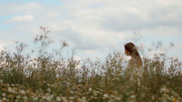 Владимир Ефимов "Разливается Русь" смотреть онлайн