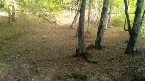 Вдоль Большой Лабы.Кислые источники.