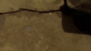 Трещины в стяжке.  Ремонт стяжки.