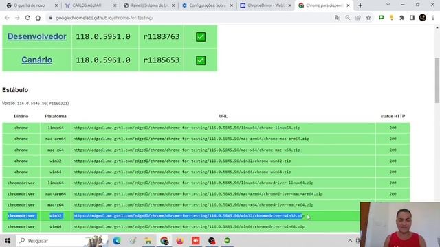 Guia de Atualização do ChromeDriver: Mantendo o ChromeDriver Atualizado para o Google Chrome смотреть онлайн