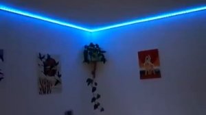 Светодиодная подсветка комнаты. Лента smd 5050 RGB.