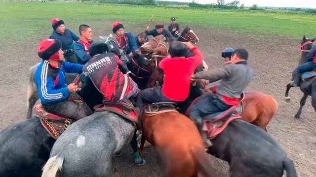 25.05.22ж 🐴👏Аламан улак Ростов, Кок-Бору, Кокпар, Аламан улак, Улок, Россия Тулпар 🔥 смотреть онлайн