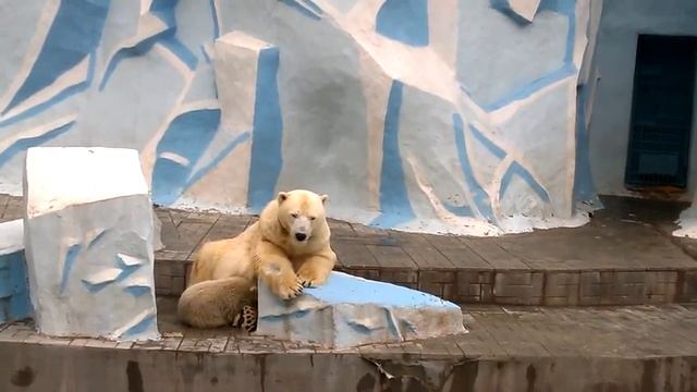 Полусонный малышок.. смотреть онлайн