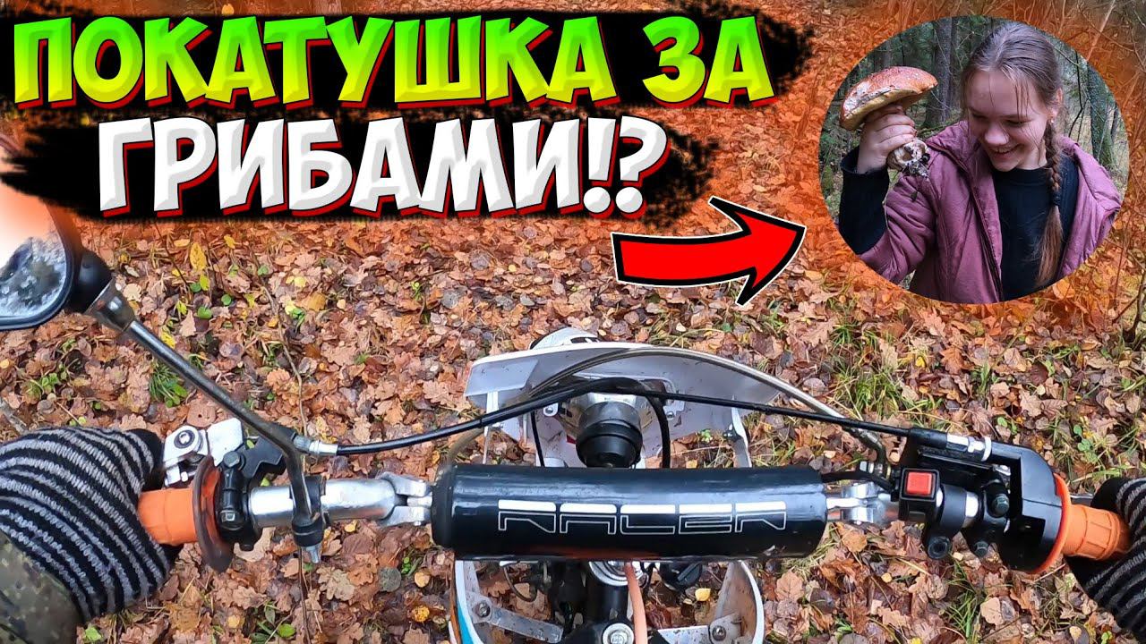 ПОКАТУШКА В ЛЕС ЗА ГРИБАМИ НА ПИТБАЙКЕ |ЗАБЛУДИЛАСЬ В ЛЕСУ!?| смотреть онлайн