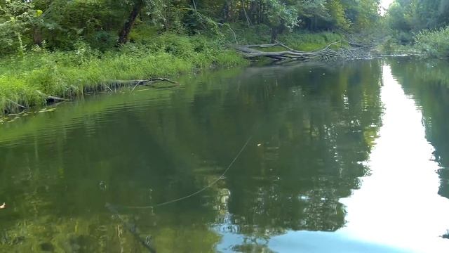 Самая трудовая рыбалка. Щука на джерк в сентябре смотреть онлайн