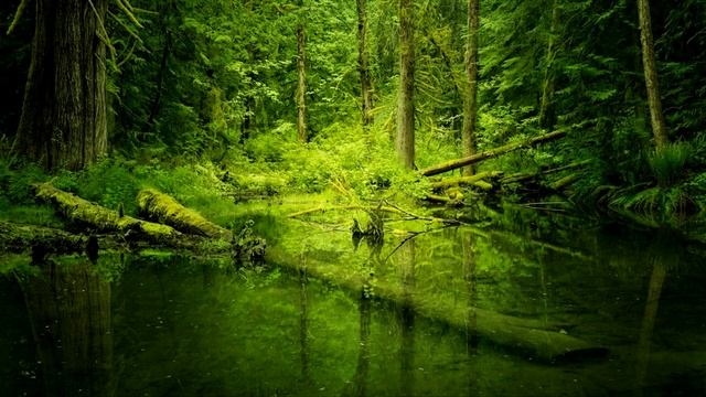 Самая красивая музыка для сна и гармонии | Можно медитировать и спать смотреть онлайн
