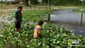 Outcomes Pre intermediate Unit 2 A child's garden of gators