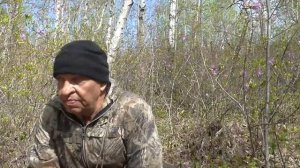 Мелкашка , по крупному зверю На что она способна в деле