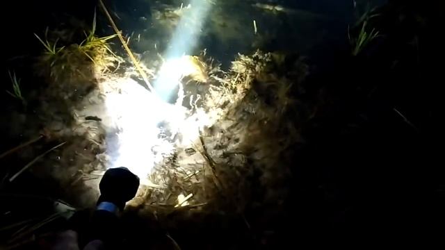 Подводная охота. Как стать подводным охотником. Поездка 2 смотреть онлайн
