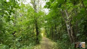 Богач спас околевшего бродягу, а едва у жены начались роды и Скорая застряла в снегу, нищий удивил…