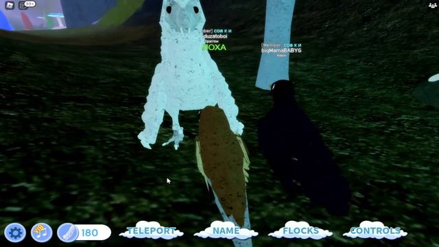 РЕАЛЬНАЯ СЕМЬЯ ПТИЦ! Roblox Feather Family! Роблокс птицы