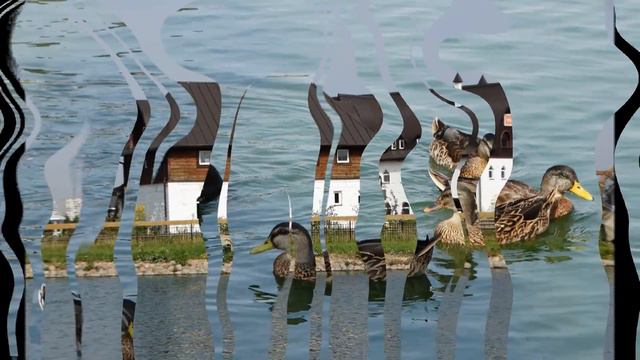 Национальный конный парк "РУСЬ" смотреть онлайн