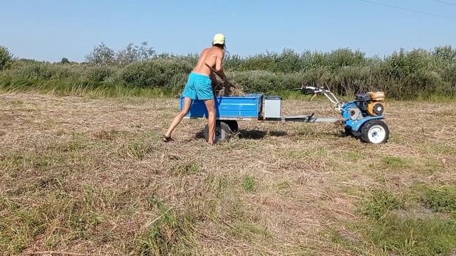 Заготовка сена п. Пролетарий смотреть онлайн