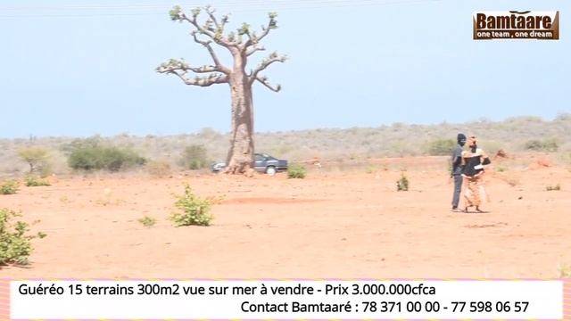 Guéréo 15 terrains 300m2 vue sur mer à vendre - Prix 3.000.000cfca смотреть онлайн
