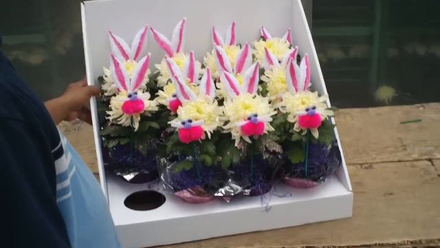 Making Bunny Mums 2 смотреть онлайн