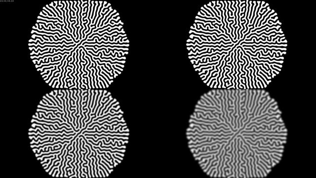 【Processing】Reaction Diffusion Algorithm using Gaussian Blur смотреть онлайн