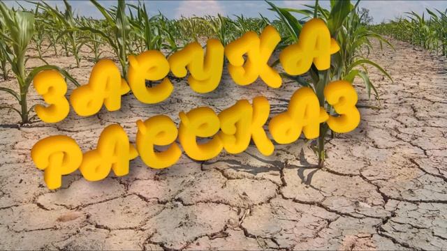 Засуха. Рассказ священника Димитрия Шишкина. смотреть онлайн