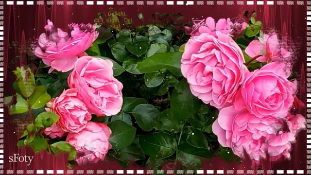 Жизнь прекрасна! Хорошего настроения! смотреть онлайн