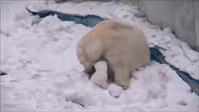 Новосибирск смотреть онлайн