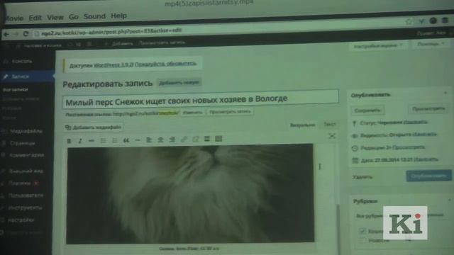 9. Павлюк Быковский. Основы создания сайта на Wordpress смотреть онлайн
